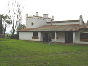 08-Antes