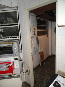 16- Antes 2